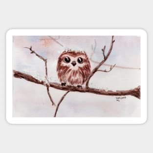 Cute little owl 2 Sticker